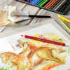 Picture of Faber Castell Albrecht Durer Watercolour Pencils